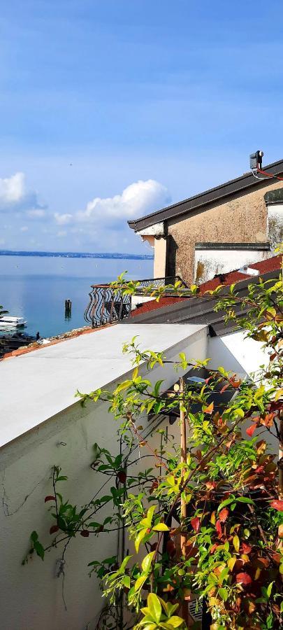 Double Room Balcony,173698788:JPEG